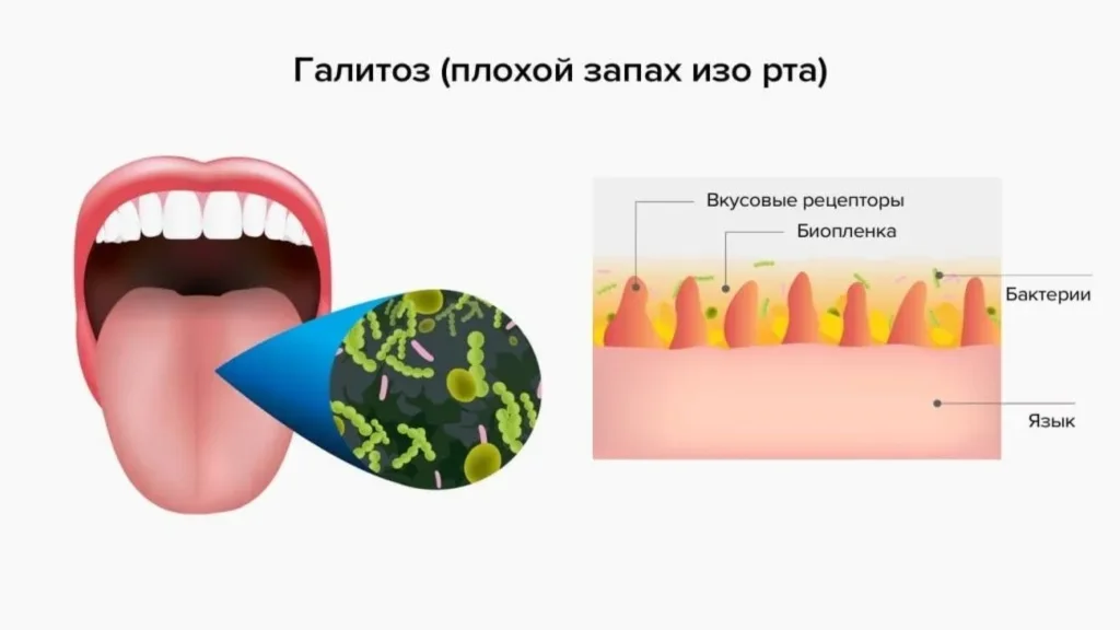 preturi - România - site-ul oficial - farmacia tei - unde gasesc - cumpără